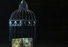 achieving financial independence easily