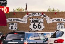 advanced market competition strategy