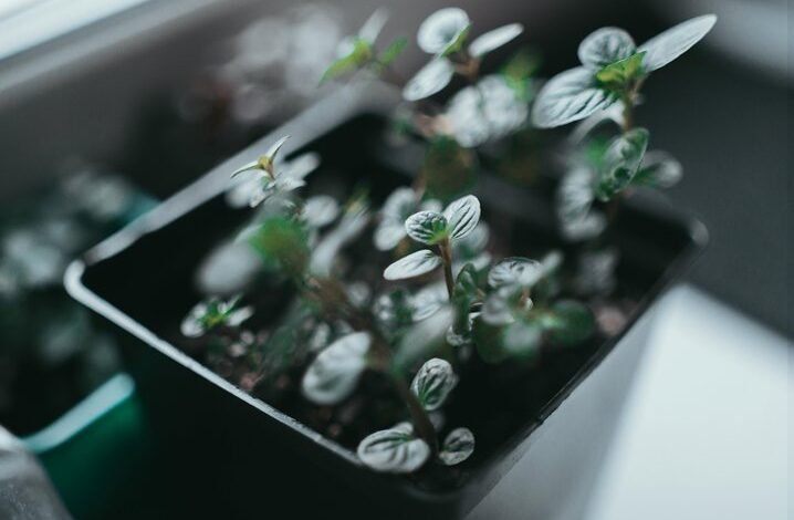 innovative approaches for solutions