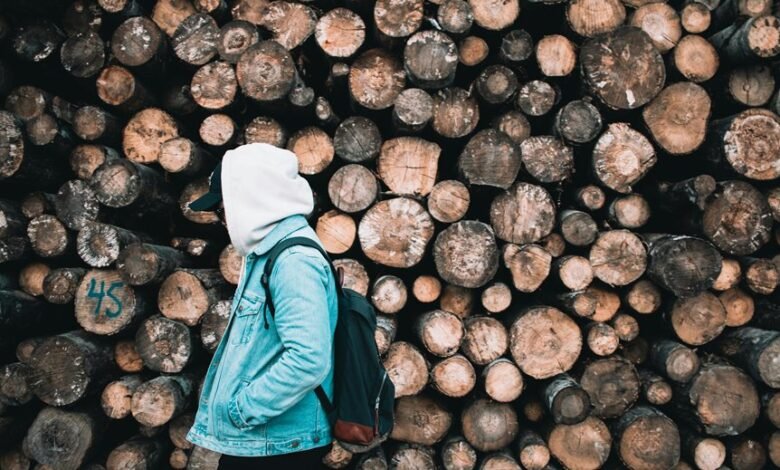 surukuku online activity trends