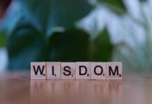 top reasons to learn about vtlcdbc