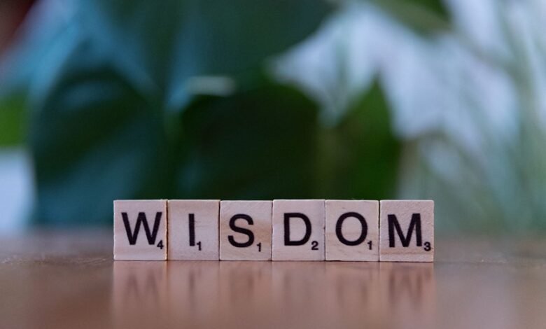 top reasons to learn about vtlcdbc