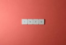 unclear details about wuvdbugflox